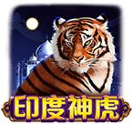印度神虎